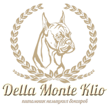 Della Monte Klio